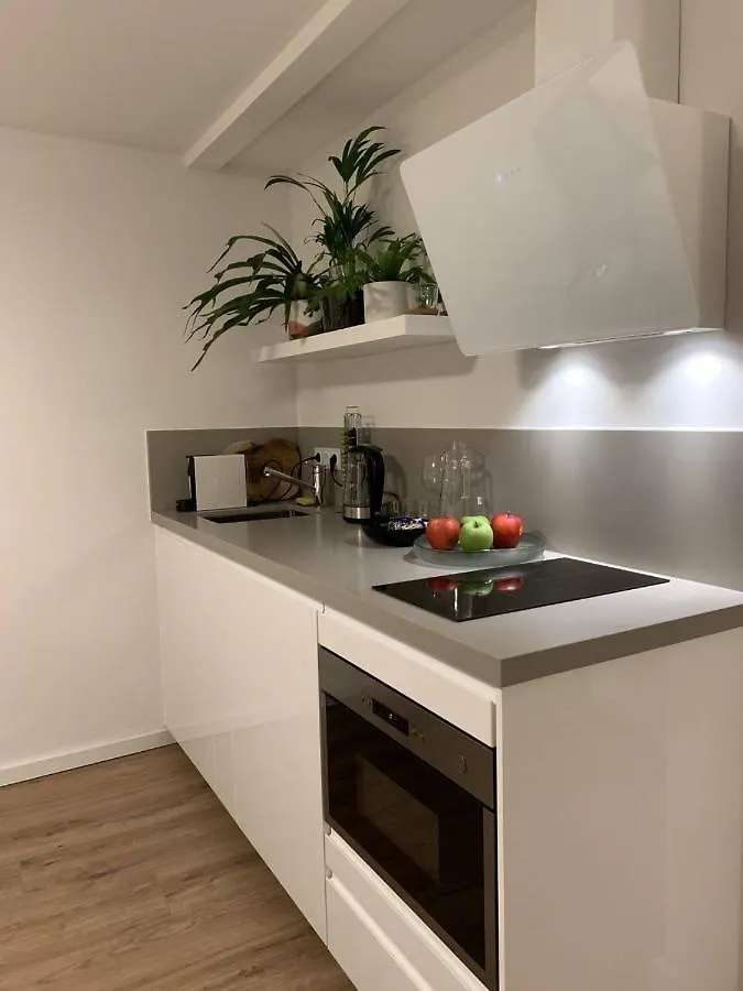 Designer Loft Apartment In Delft City New 38B
