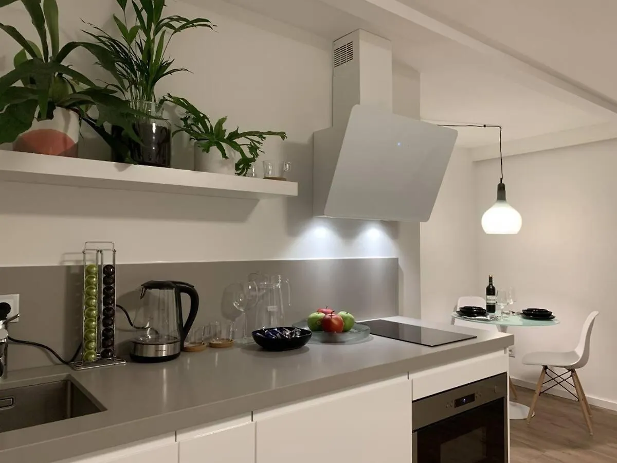 Designer Loft Apartment In Delft City New 38B
